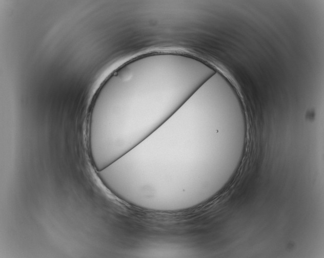X0000111230959200907021020