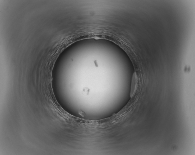X0000111230961200907021019