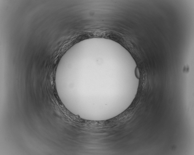 X0000111230962200907021019