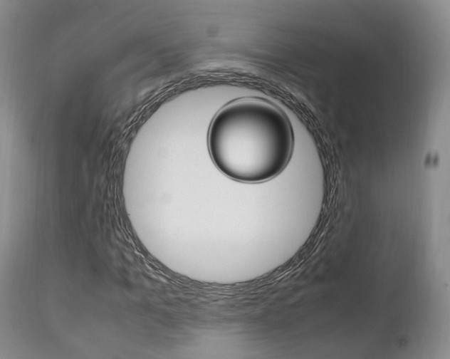 X0000111230965200907021019