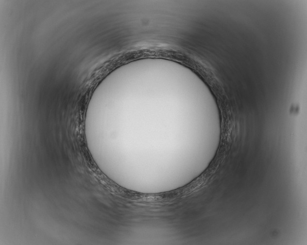X0000111230966200907021019