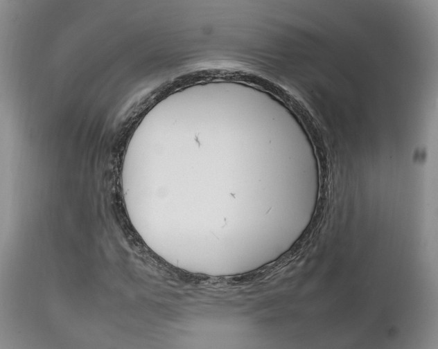 X0000111230967200907021019