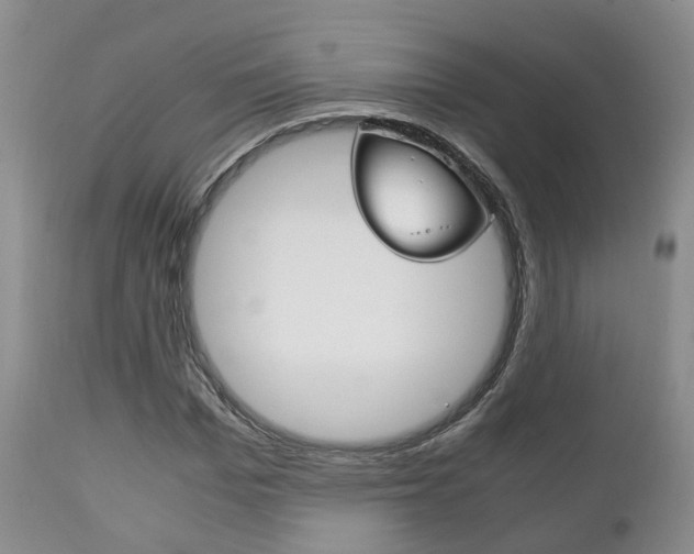 X0000111230969200907021019