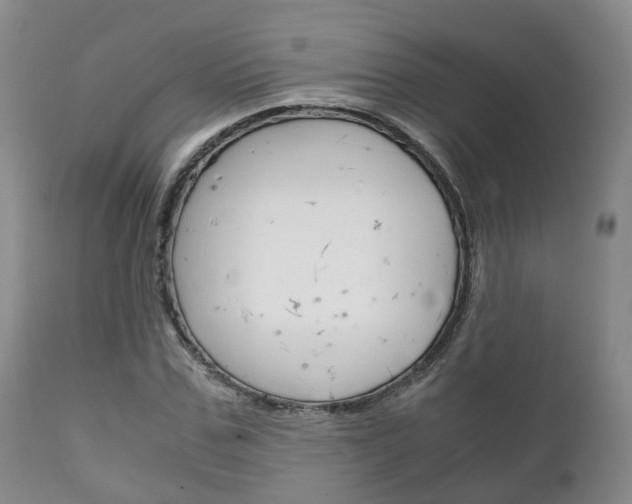 X0000111230971200907021019