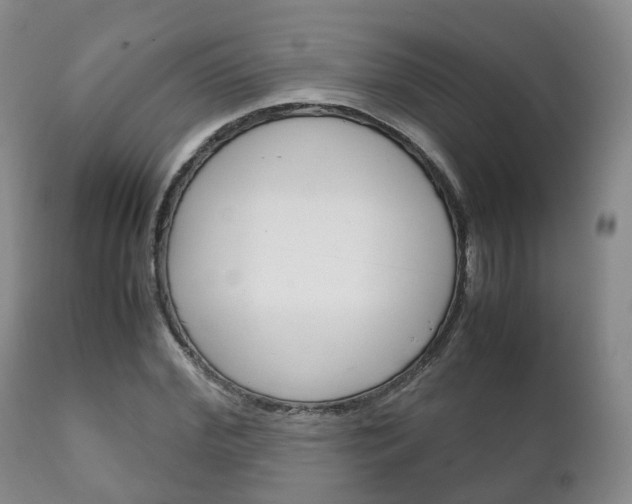 X0000111230972200907021019