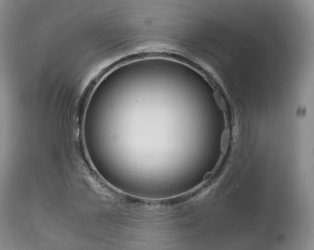 X0000111230973200907021019
