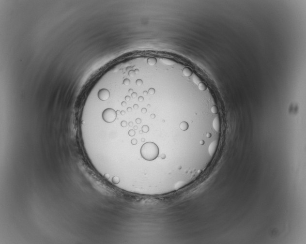 X0000111230974200907021019