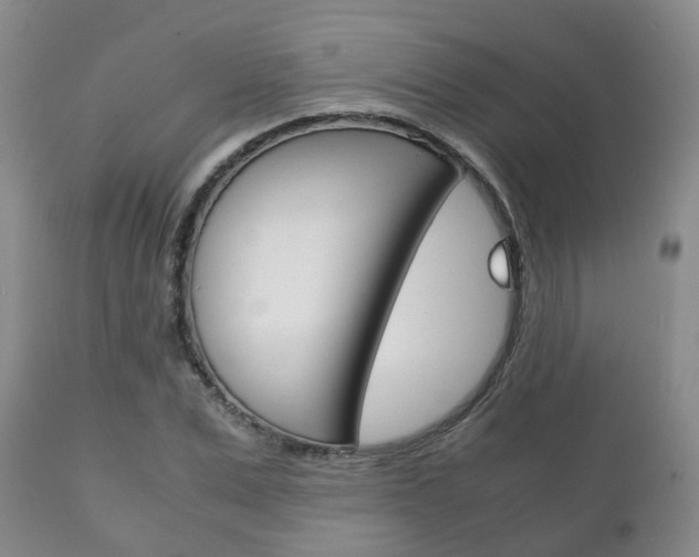 X0000111230975200907021019
