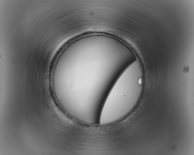 X0000111230976200907021019