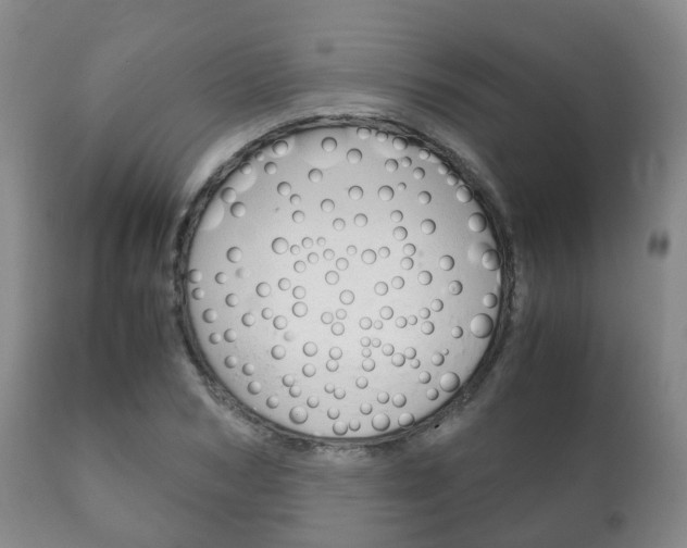 X0000111230978200907021019