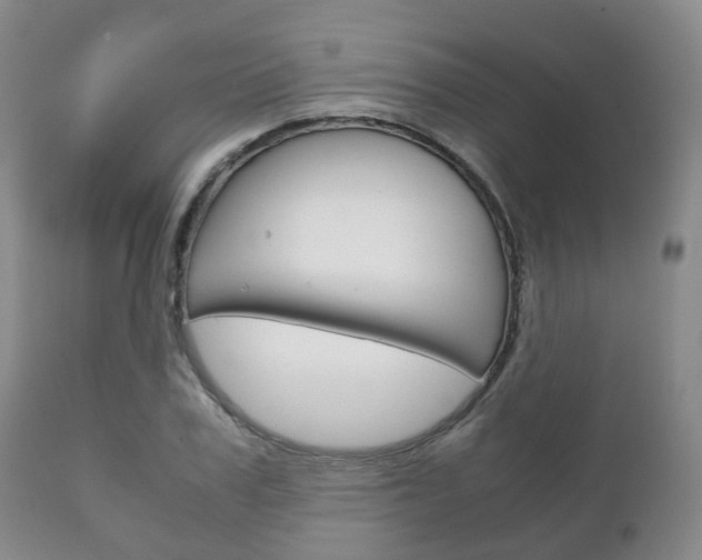 X0000111230979200907021019