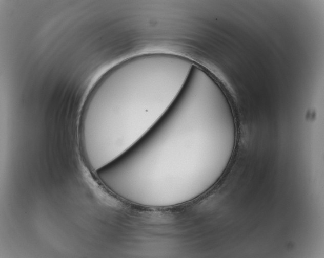 X0000111230980200907021019
