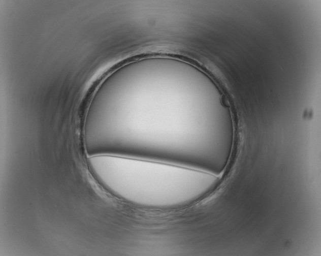 X0000111230981200907021019