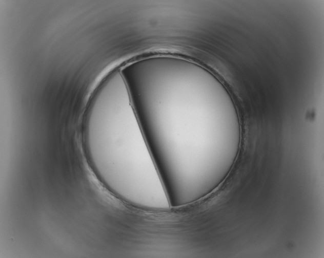 X0000111230984200907021019
