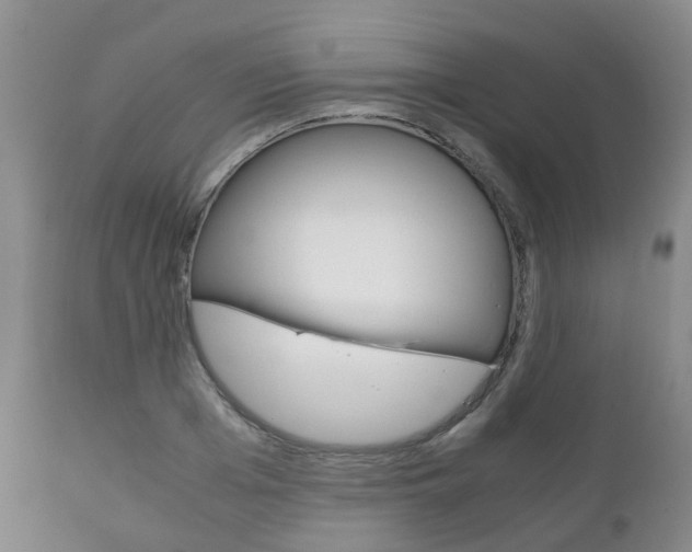 X0000111230985200907021019