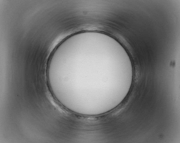 X0000111230986200907021019