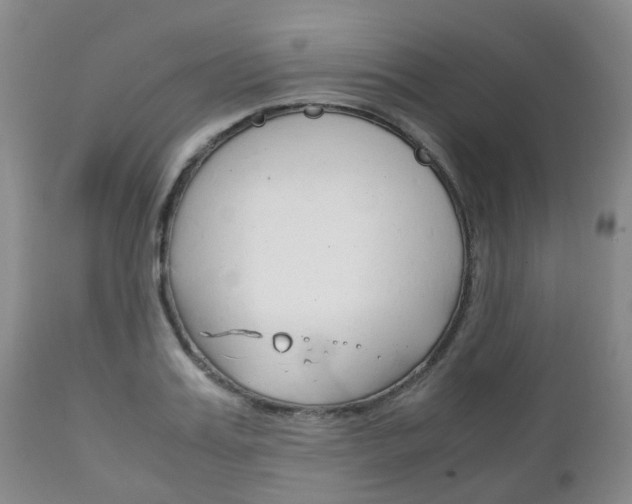 X0000111230987200907021019