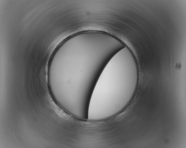 X0000111230988200907021019
