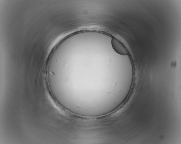 X0000111230989200907021019