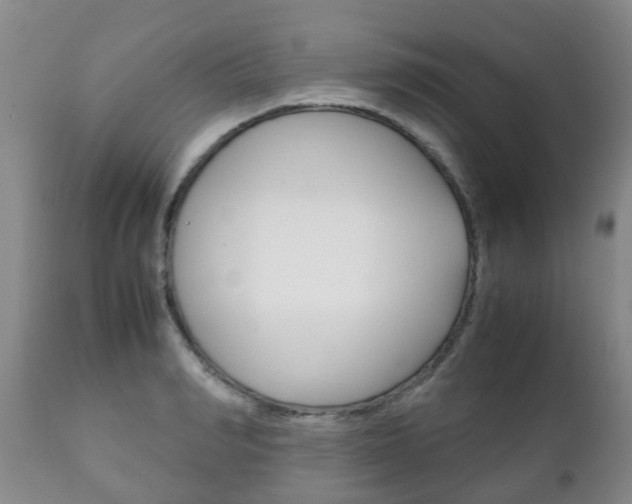 X0000111230990200907021019