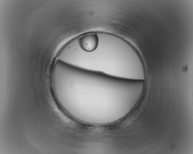 X0000111230991200907021019