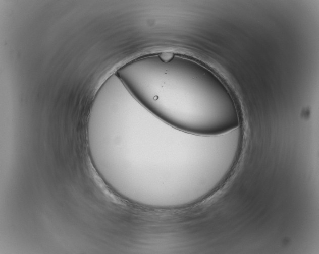 X0000111230993200907021019