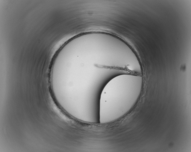 X0000111230995200907021019