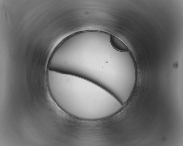 X0000111230996200907021019