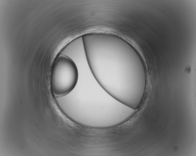 X0000111230997200907021019