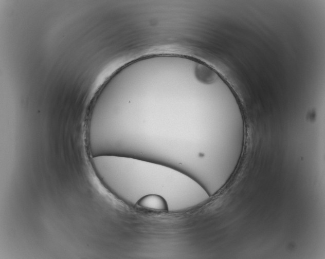 X0000111230998200907021019