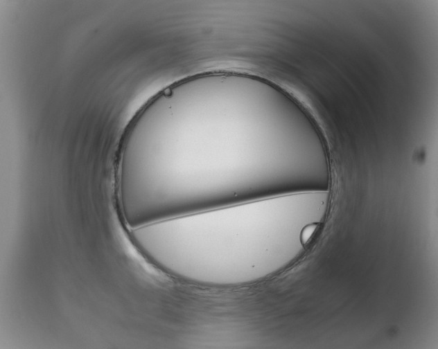 X0000111230999200907021019