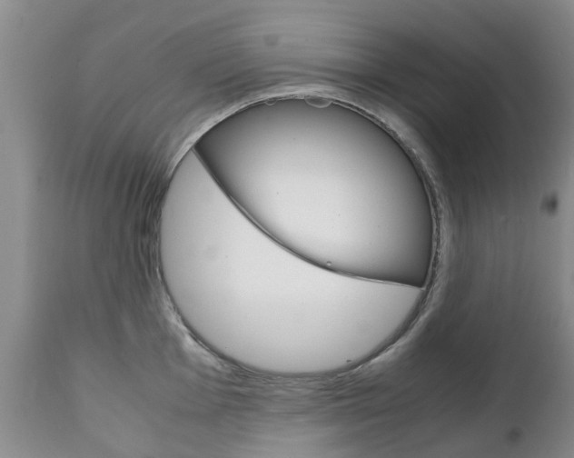 X0000111231001200907021019