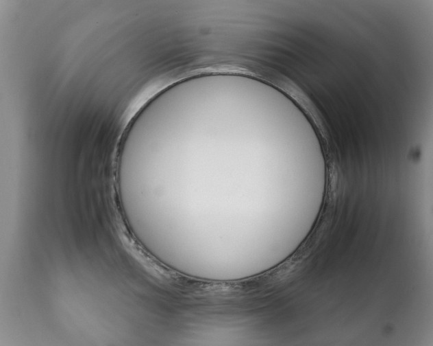 X0000111231002200907021019