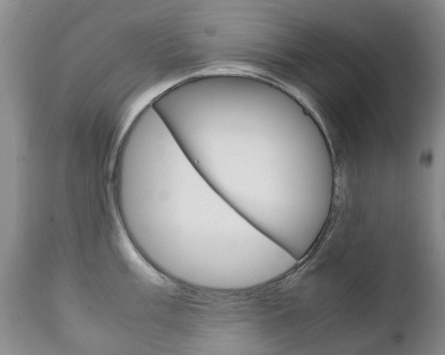 X0000111231003200907021019
