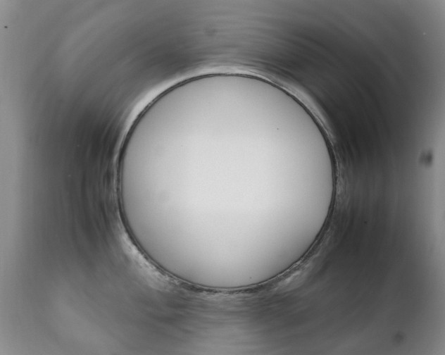 X0000111231004200907021019