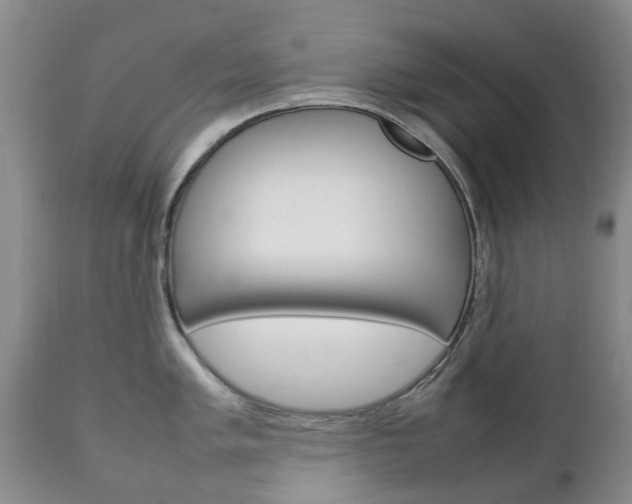 X0000111231005200907021019