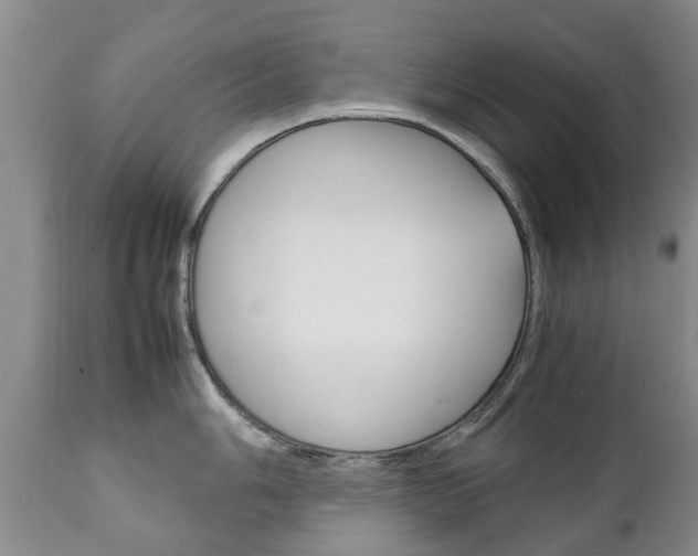 X0000111231006200907021019