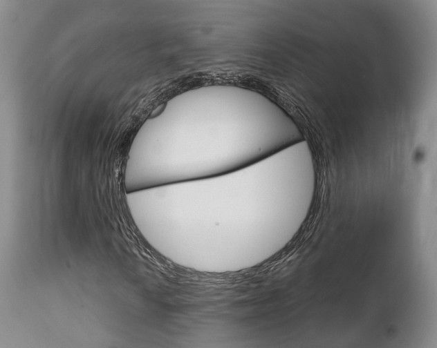 X0000111231010200907021018