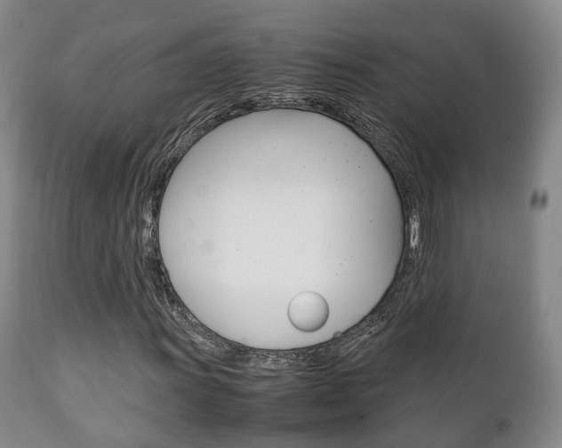 X0000111231011200907021018