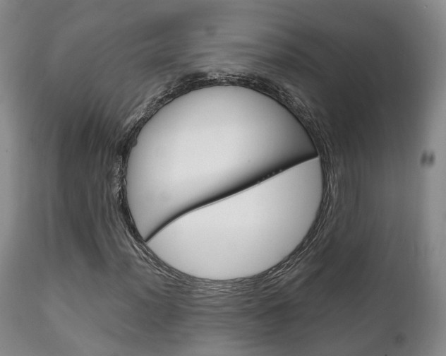 X0000111231012200907021018