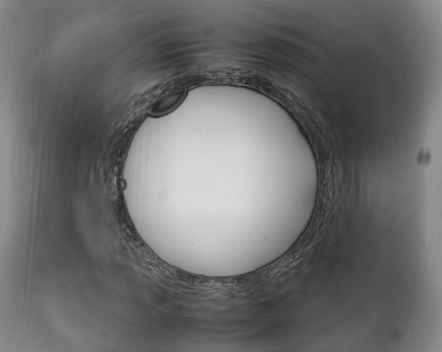 X0000111231013200907021018