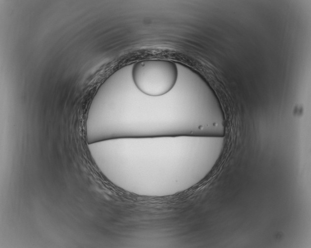X0000111231014200907021018