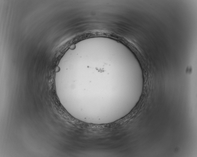 X0000111231015200907021018