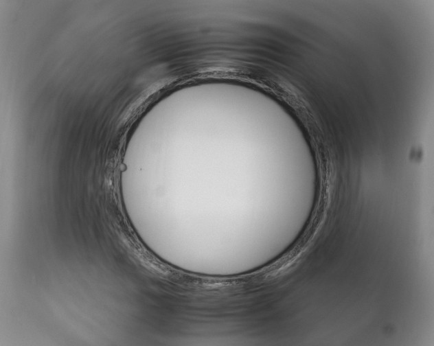 X0000111231017200907021018