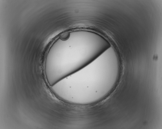 X0000111231018200907021018