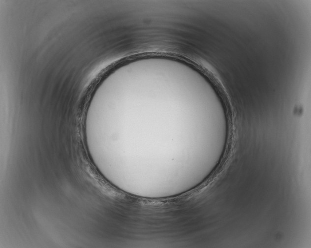 X0000111231019200907021018