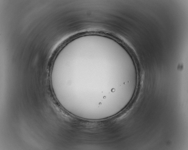 X0000111231021200907021018