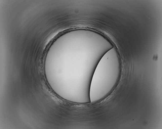 X0000111231023200907021018