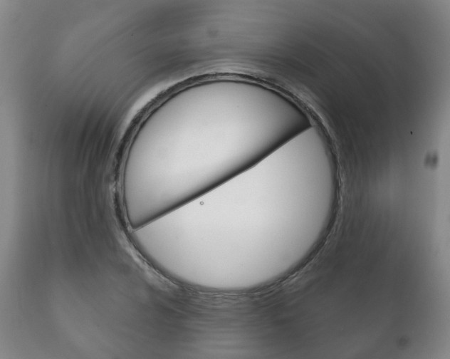 X0000111231024200907021018