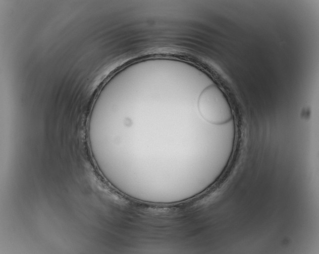 X0000111231025200907021018